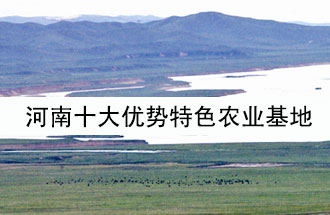 8月19日，河南省政府發(fā)布了關于深入推進農業(yè)供給側結構性改革 大力發(fā)展優(yōu)勢特色農業(yè)的意見