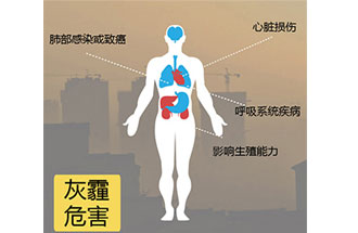 空氣中PM2.5 是由什么物質組成的？